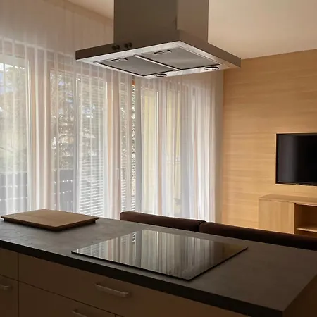 Ehrenburg Apartment Merano